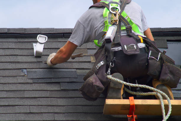Best Commercial Roofing Services  in Springfield, NE