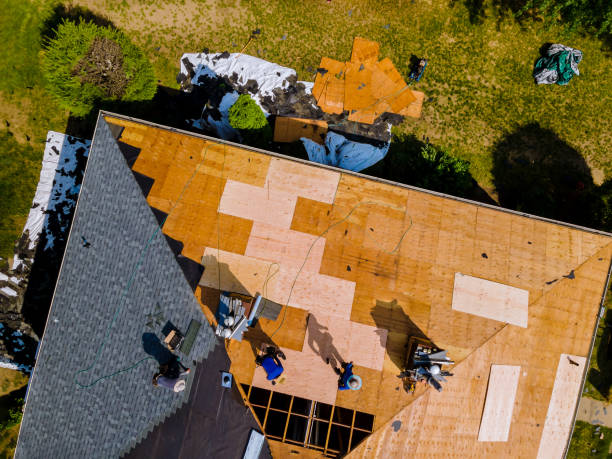 Best Metal Roofing Contractor  in Springfield, NE