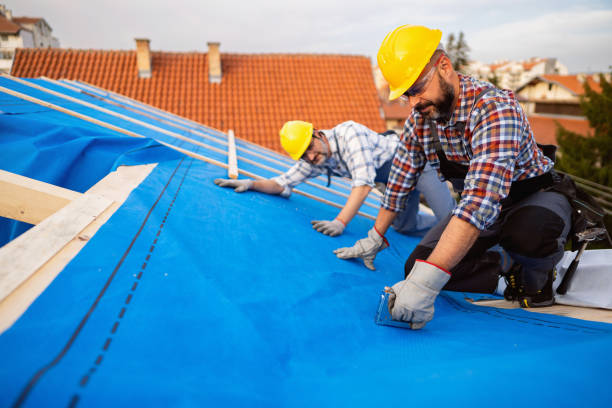 Quick and Trustworthy Emergency Roof Repair Services in Springfield, NE
