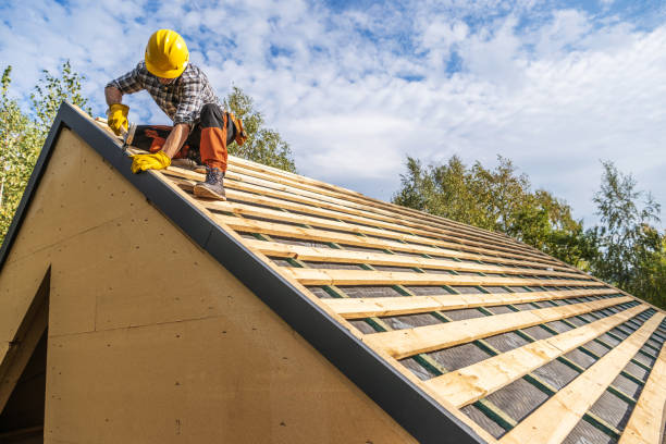 Professional Roofing Contractor in Springfield, NE