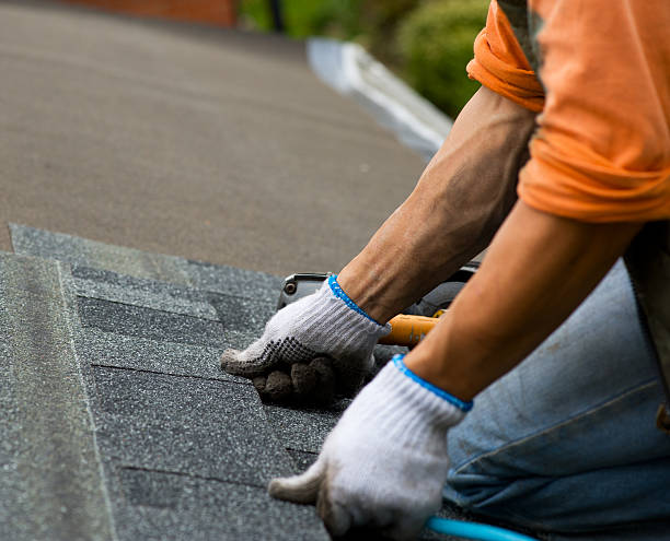 Best Roofing Contractor Near Me  in Springfield, NE