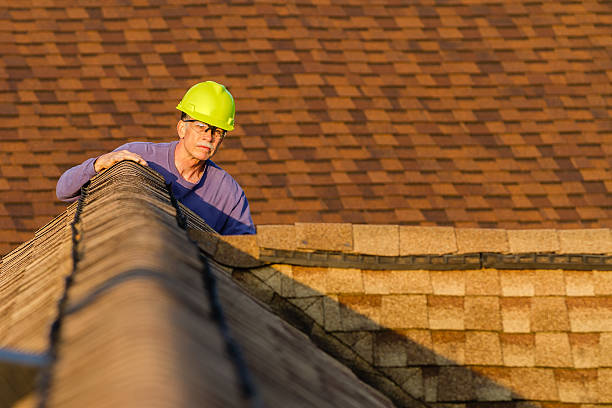 Best Gutter Installation and Roofing  in Springfield, NE